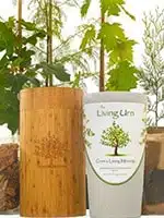 LIVING URN: Price: $ 595.00